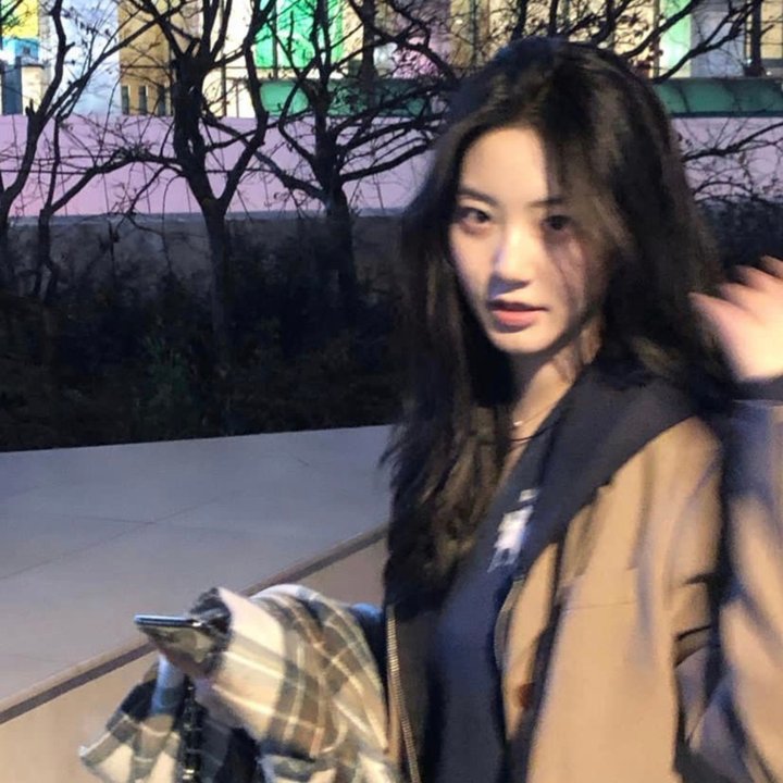 森林：随处可见